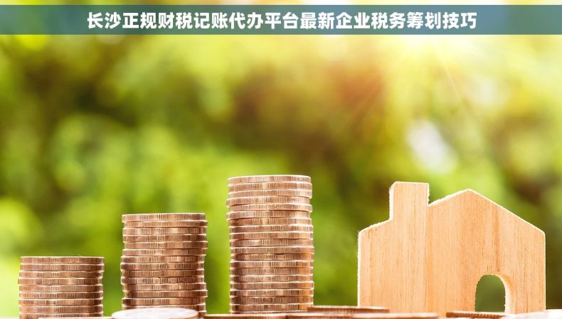 长沙正规财税记账代办平台最新企业税务筹划技巧