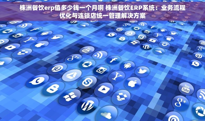 株洲餐饮erp值多少钱一个月啊 株洲餐饮ERP系统：业务流程优化与连锁店统一管理解决方案