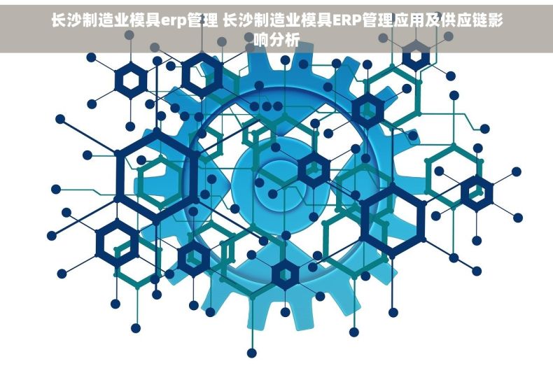 长沙制造业模具erp管理 长沙制造业模具ERP管理应用及供应链影响分析