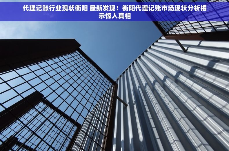 代理记账行业现状衡阳 最新发现！衡阳代理记账市场现状分析揭示惊人真相