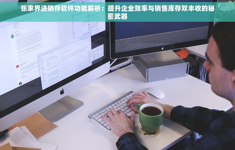 张家界进销存软件功能解析：提升企业效率与销售库存双丰收的秘密武器
