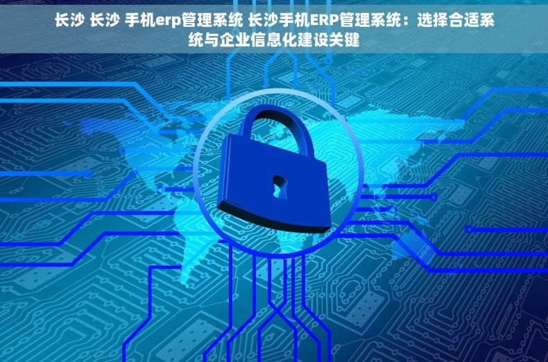 长沙 长沙 手机erp管理系统 长沙手机ERP管理系统：选择合适系统与企业信息化建设关键
