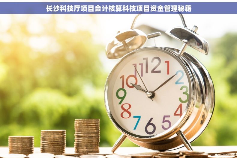 长沙科技厅项目会计核算科技项目资金管理秘籍