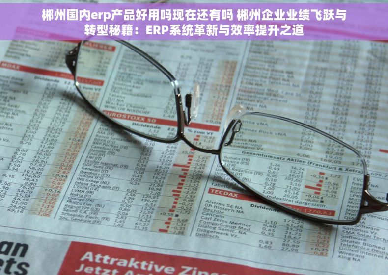 郴州国内erp产品好用吗现在还有吗 郴州企业业绩飞跃与转型秘籍：ERP系统革新与效率提升之道