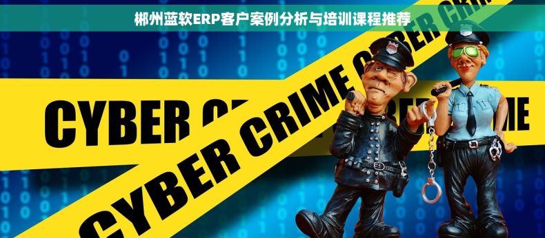 郴州蓝软ERP客户案例分析与培训课程推荐