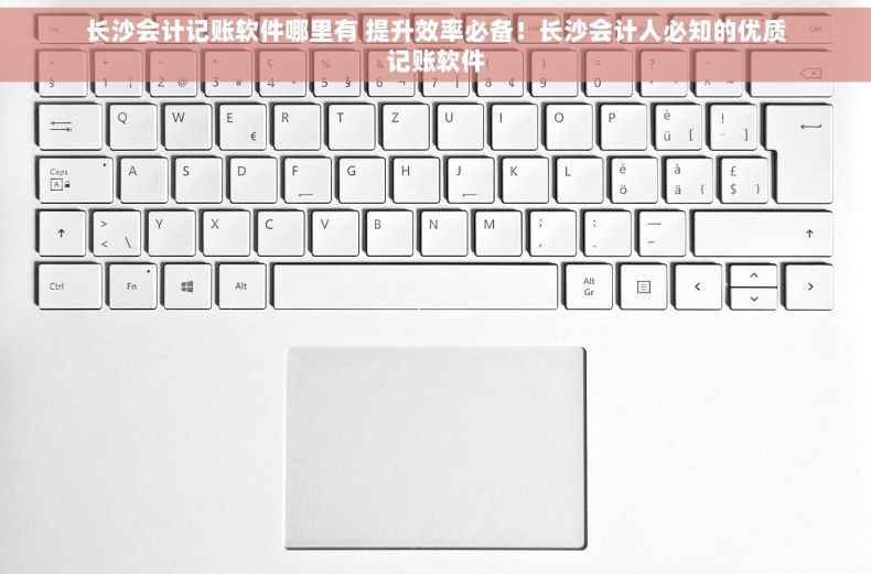 长沙会计记账软件哪里有 提升效率必备！长沙会计人必知的优质记账软件