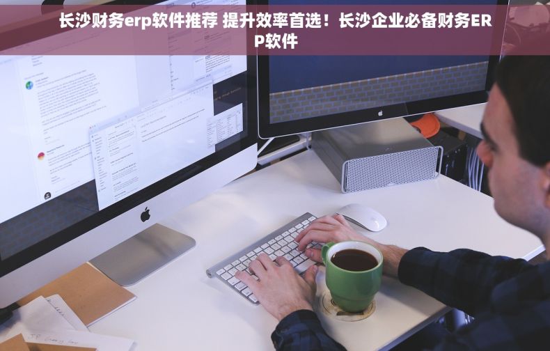 长沙财务erp软件推荐 提升效率首选！长沙企业必备财务ERP软件