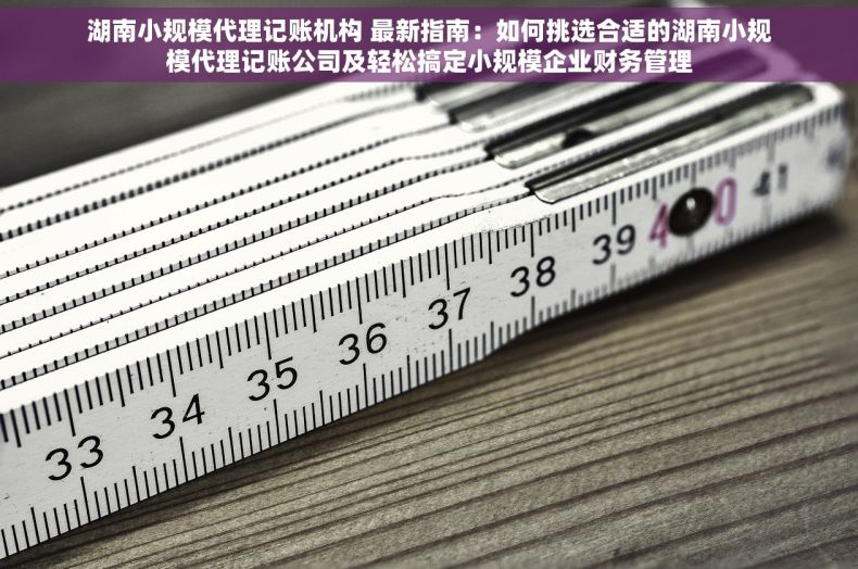 湖南小规模代理记账机构 最新指南：如何挑选合适的湖南小规模代理记账公司及轻松搞定小规模企业财务管理