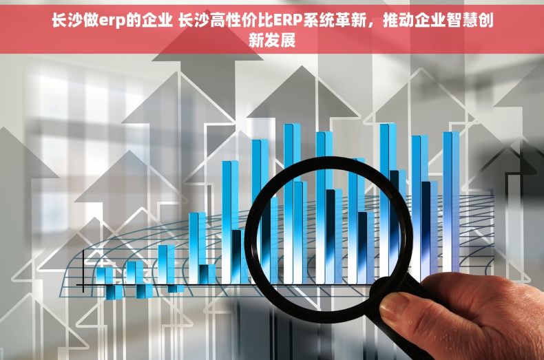 长沙做erp的企业 长沙高性价比ERP系统革新，推动企业智慧创新发展