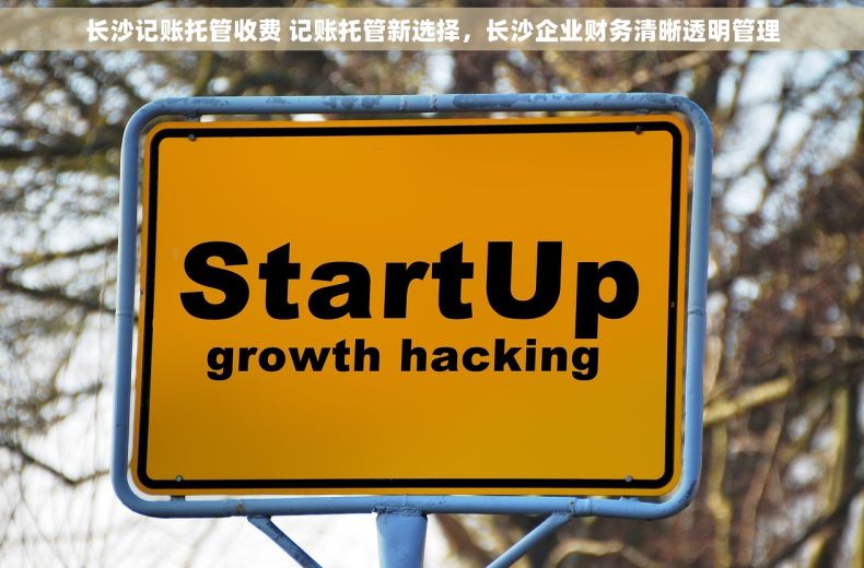 长沙记账托管收费 记账托管新选择，长沙企业财务清晰透明管理