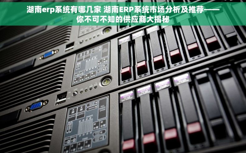 湖南erp系统有哪几家 湖南ERP系统市场分析及推荐——你不可不知的供应商大揭秘
