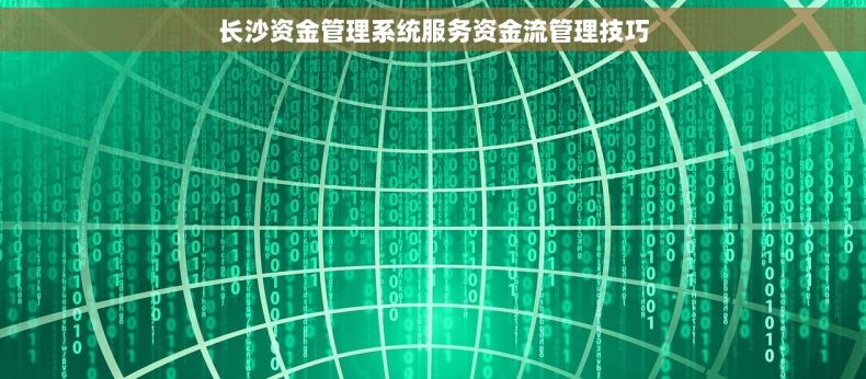 长沙资金管理系统服务资金流管理技巧