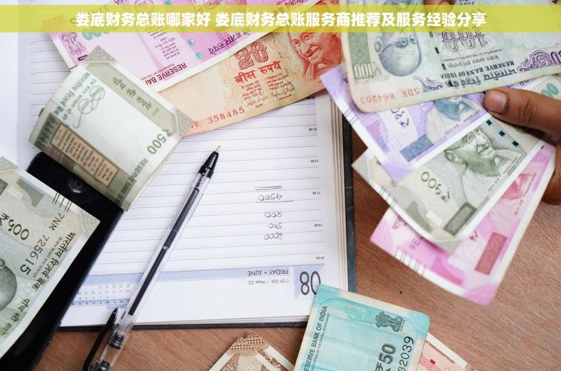 娄底财务总账哪家好 娄底财务总账服务商推荐及服务经验分享