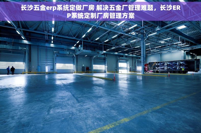 长沙五金erp系统定做厂房 解决五金厂管理难题，长沙ERP系统定制厂房管理方案