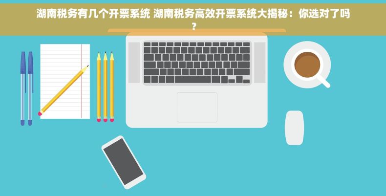 湖南税务有几个开票系统 湖南税务高效开票系统大揭秘：你选对了吗？