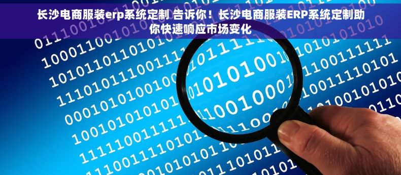 长沙电商服装erp系统定制 告诉你！长沙电商服装ERP系统定制助你快速响应市场变化