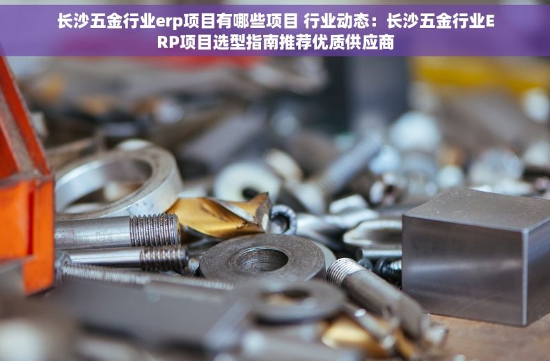 长沙五金行业erp项目有哪些项目 行业动态：长沙五金行业ERP项目选型指南推荐优质供应商