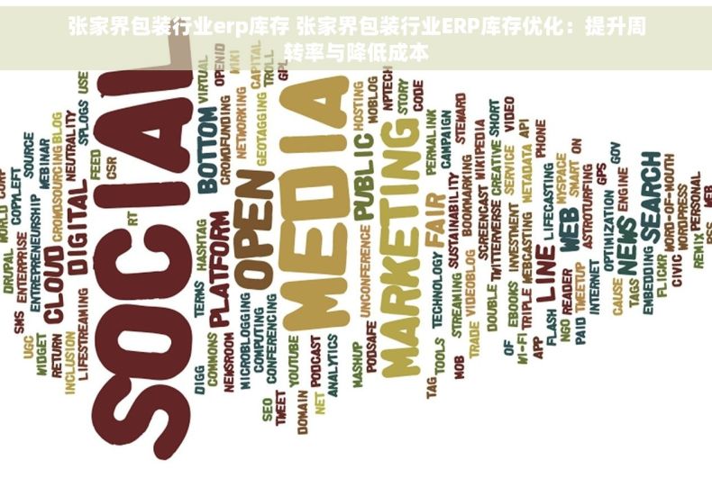 张家界包装行业erp库存 张家界包装行业ERP库存优化：提升周转率与降低成本
