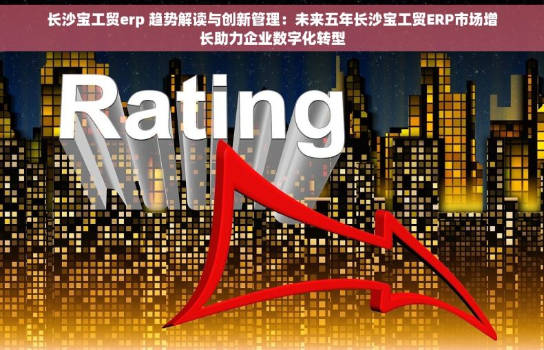 长沙宝工贸erp 趋势解读与创新管理：未来五年长沙宝工贸ERP市场增长助力企业数字化转型