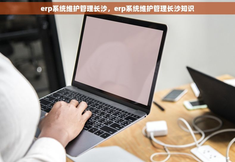 erp系统维护管理长沙，erp系统维护管理长沙知识