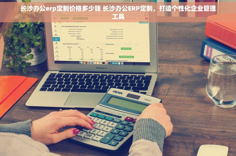长沙办公erp定制价格多少钱 长沙办公ERP定制，打造个性化企业管理工具