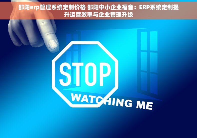 邵阳erp管理系统定制价格 邵阳中小企业福音：ERP系统定制提升运营效率与企业管理升级