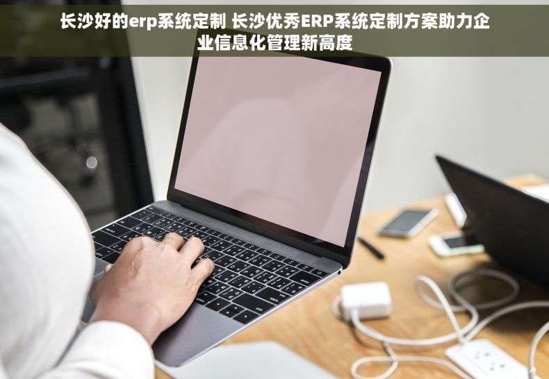 长沙好的erp系统定制 长沙优秀ERP系统定制方案助力企业信息化管理新高度