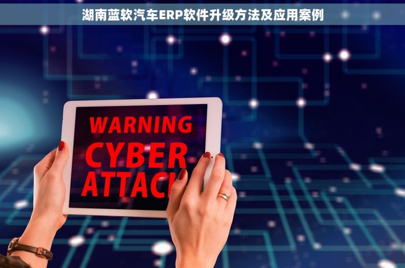 湖南蓝软汽车ERP软件升级方法及应用案例