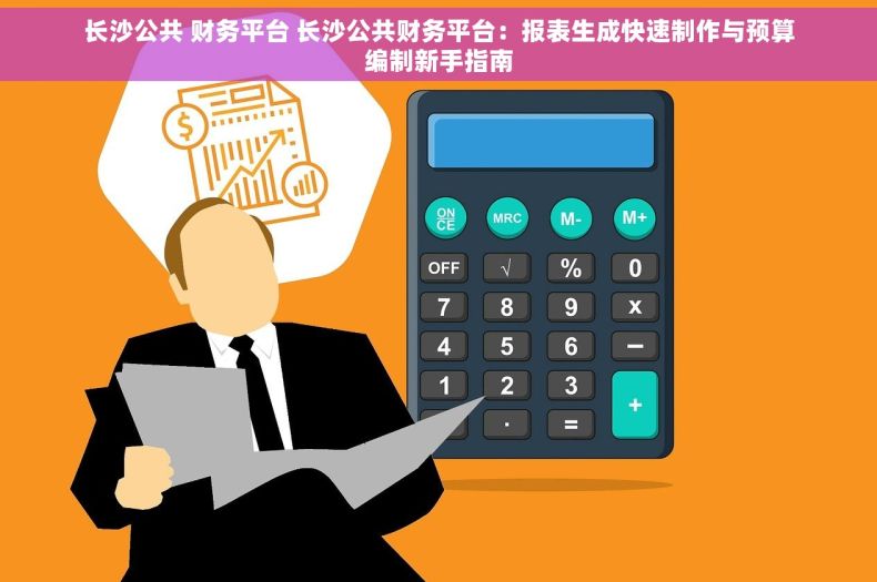 长沙公共 财务平台 长沙公共财务平台：报表生成快速制作与预算编制新手指南
