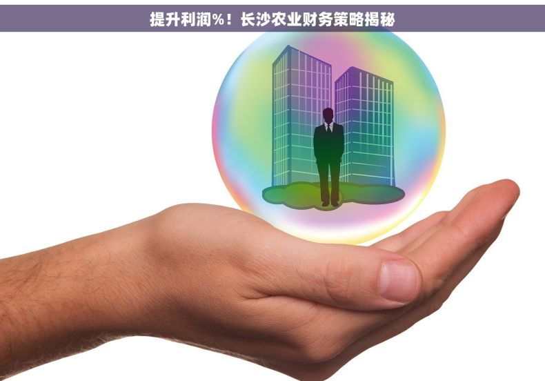 提升利润%！长沙农业财务策略揭秘