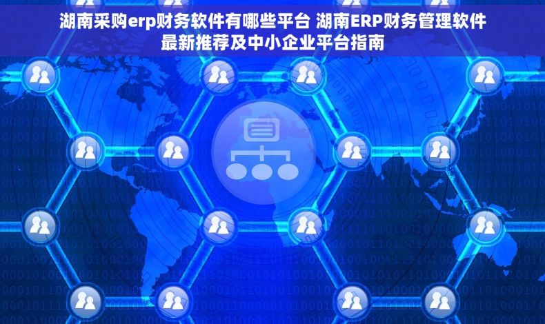 湖南采购erp财务软件有哪些平台 湖南ERP财务管理软件最新推荐及中小企业平台指南