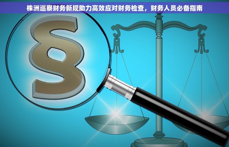 株洲巡察财务新规助力高效应对财务检查，财务人员必备指南
