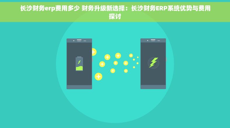 长沙财务erp费用多少 财务升级新选择：长沙财务ERP系统优势与费用探讨