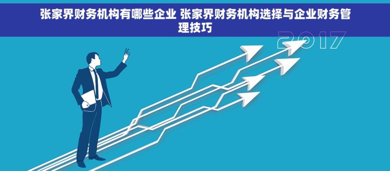 张家界财务机构有哪些企业 张家界财务机构选择与企业财务管理技巧
