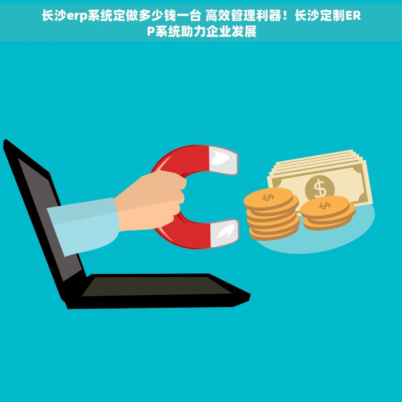 长沙erp系统定做多少钱一台 高效管理利器！长沙定制ERP系统助力企业发展