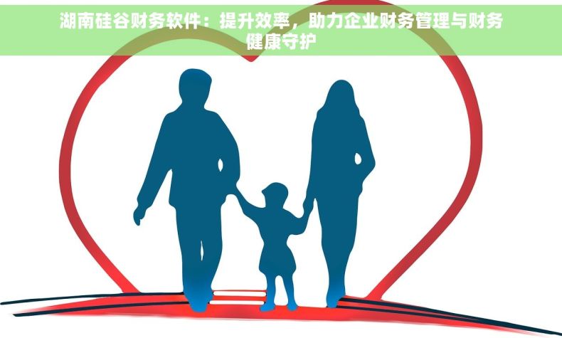 湖南硅谷财务软件：提升效率，助力企业财务管理与财务健康守护