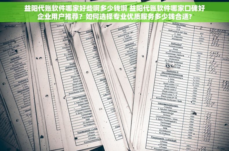 益阳代账软件哪家好些啊多少钱啊 益阳代账软件哪家口碑好企业用户推荐？如何选择专业优质服务多少钱合适?