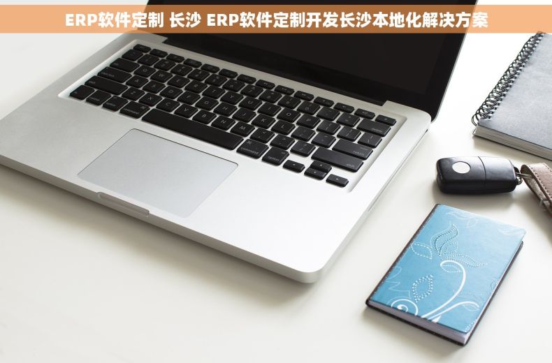 ERP软件定制 长沙 ERP软件定制开发长沙本地化解决方案