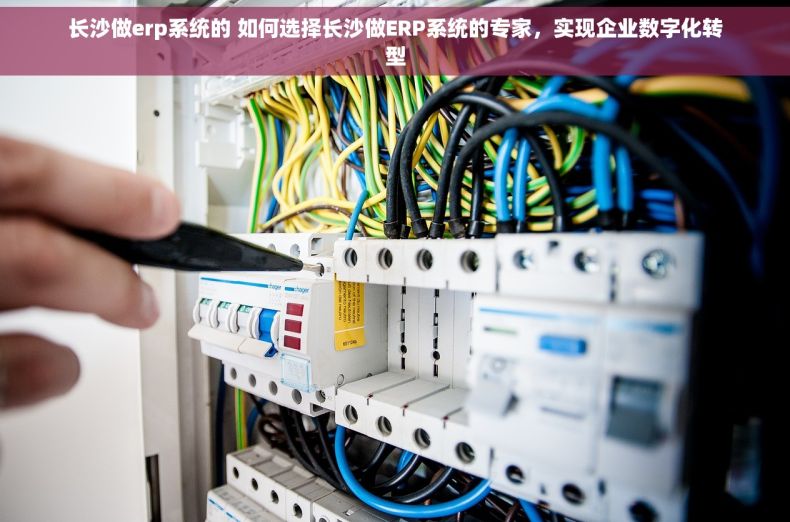 长沙做erp系统的 如何选择长沙做ERP系统的专家，实现企业数字化转型