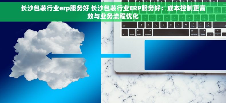 长沙包装行业erp服务好 长沙包装行业ERP服务好：成本控制更高效与业务流程优化