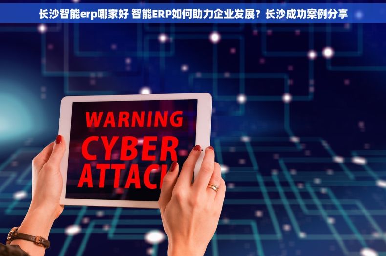 长沙智能erp哪家好 智能ERP如何助力企业发展？长沙成功案例分享