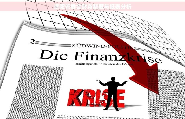 岳阳管委会财务制度与报表分析