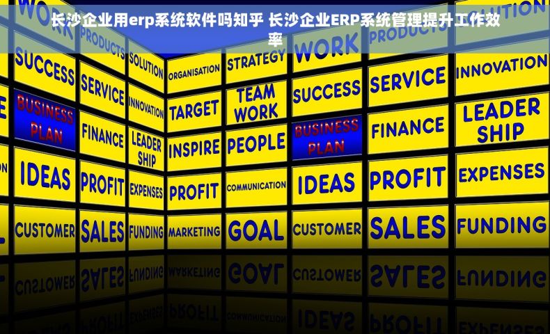 长沙企业用erp系统软件吗知乎 长沙企业ERP系统管理提升工作效率