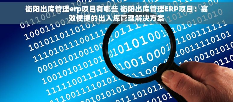 衡阳出库管理erp项目有哪些 衡阳出库管理ERP项目：高效便捷的出入库管理解决方案