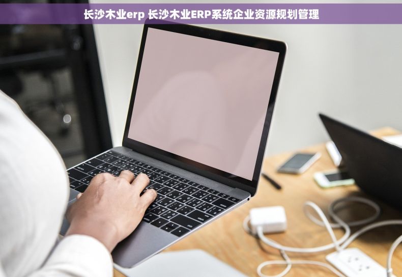 长沙木业erp 长沙木业ERP系统企业资源规划管理
