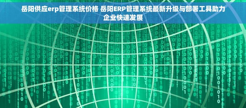 岳阳供应erp管理系统价格 岳阳ERP管理系统最新升级与部署工具助力企业快速发展