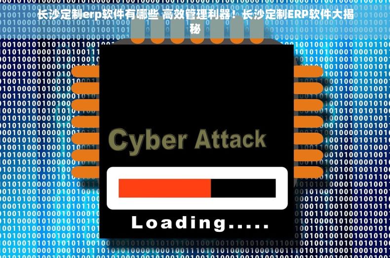 长沙定制erp软件有哪些 高效管理利器！长沙定制ERP软件大揭秘