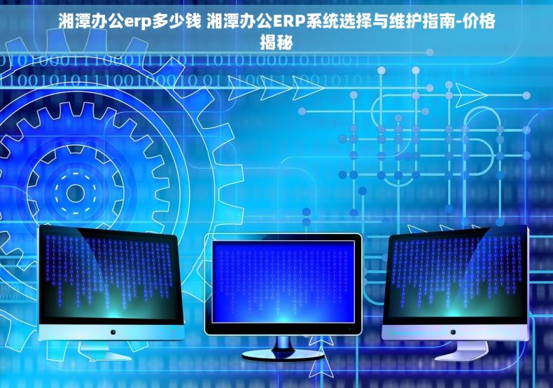 湘潭办公erp多少钱 湘潭办公ERP系统选择与维护指南-价格揭秘