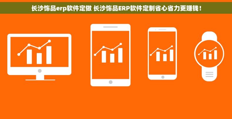长沙饰品erp软件定做 长沙饰品ERP软件定制省心省力更赚钱！