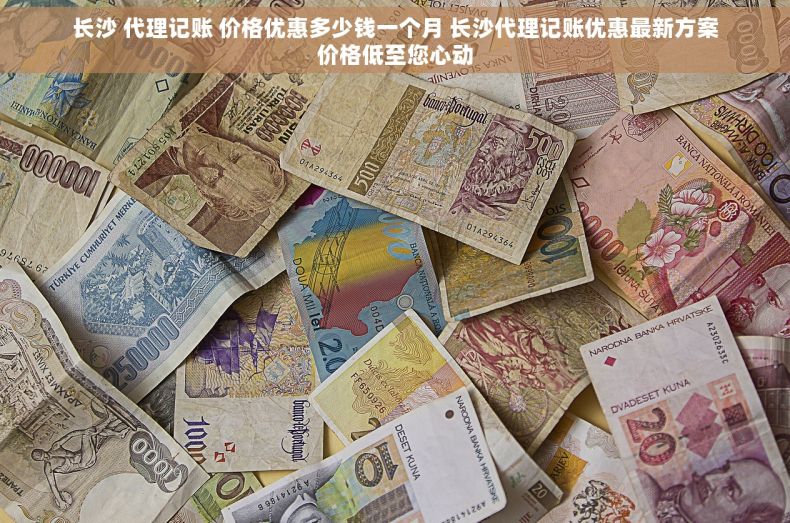 长沙 代理记账 价格优惠多少钱一个月 长沙代理记账优惠最新方案价格低至您心动